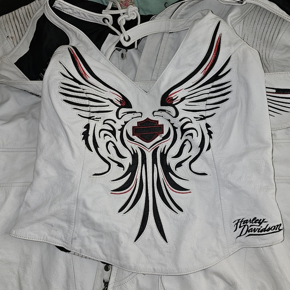 Harley chaps set